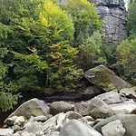 40 *