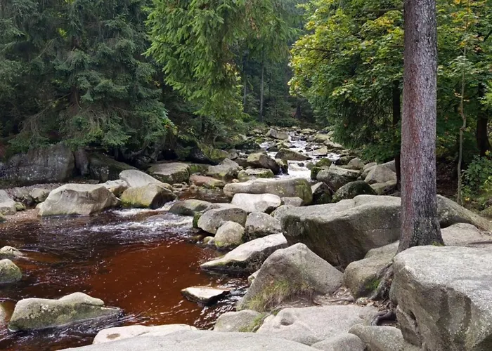 Apartment 40 Szklarska Poreba